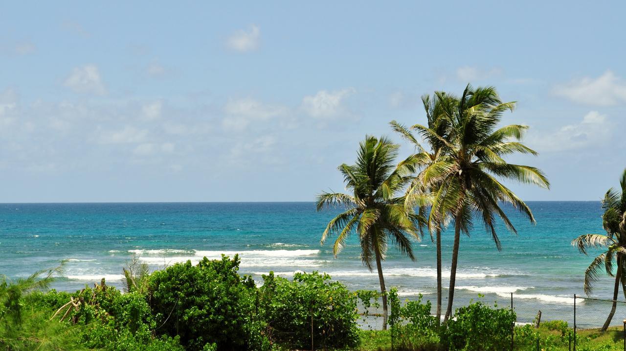 Studio Anse Des Rochers Saint-Francois  Bagian luar foto